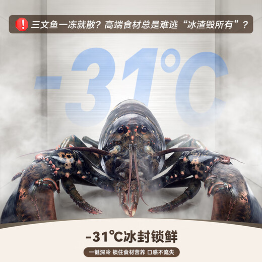 Rongsheng World Cup customized model WILL Fresh 516L French multi-door refrigerator ultra-thin zero-embedded first-class energy efficiency air-cooled frost-free BCD-516WKM1MPGZA national subsidy