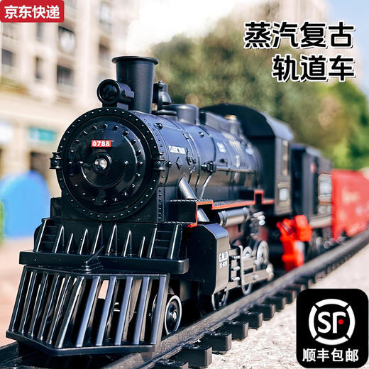 两雪儿童小火车玩具轨道车电动遥控停车场高级蒸汽模型仿真高铁男孩子 电动版十字轨-仿真蒸汽火车