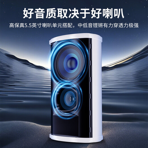 Xianke (SAST) W-802 Columna de sonido impermeable Bluetooth al aire libre, Amplificador de audio de pared al aire libre Juego de altavoces, conferencia de juegos de parques infantiles de la escuela de oradores Música de tiendas 100W