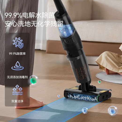 德尔玛（Deerma）洗地机双滚刷吸尘拖地一体机可手持家用智能无线吸尘器P30 除菌无线洗地机-P30【无线】+耗材
