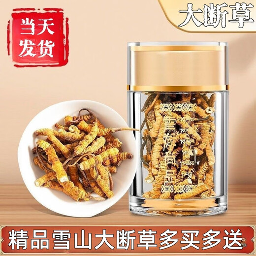 Cordyceps sinensis broken grass authentic first-rate Cordyceps in Tibetan areas home-packed self-eating first choice 10 grams get 1 gram more buy more buy more buy more buy more buy more buy 60 grams get 6 grams
