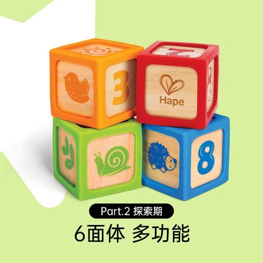 Hape (Deutschland) Kinderbausteine Spielzeug Large Getreide Silikonbausteine 4 Packungen Jungen und Mädchen Geburtstagsgeschenke E0132