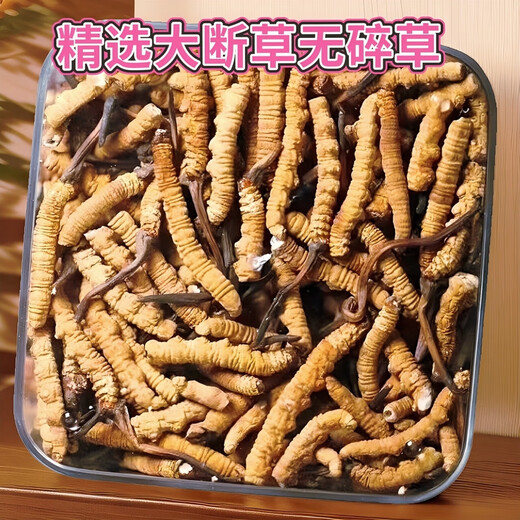 万草康仁冬虫夏草断草藏区断虫草断草中老年营养品整肉节虫草酒保健品 精选大断草【 10克轻瓶逸草装 】送枸杞1袋