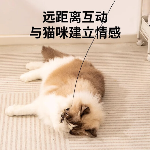 Guangdola Cat Funny Stick Cat Toy Bite-resistant CFA Competition Grade Long Rod Bell Feather Kitten Self-Enjoyment and Boredom Relief Interactive Artifact