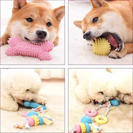 Qi Oh Dog Teething Toy Anti-bite and Anti-boring Toy Toy Ball Chewable Puppy Teething Stick Energy-consuming Supplies Three-piece Pack Combination 1