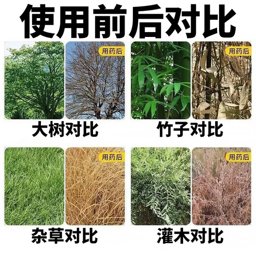 Cyclazinone is a special medicine to remove dead trees and rotten roots of large trees. Herbicide is a special medicine to remove big trees and remove rotten roots of bamboo. Genuine Cyclazinone 10Jin Jin is equal to 0.5kg