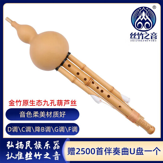 Der Klang von Seide und Bambus, Jinzhuyuan, Jiukong Hulusi, Erwachsene, universelles Orchesterinstrument, C -Tune + kein Lehrbuch 7