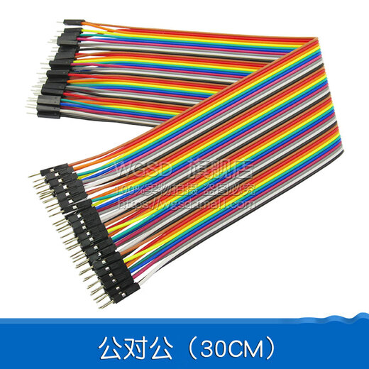 Dafu Rui DuPont wire female to female male to female male to male 40P color connecting wire male to bus 10/30/20/40CM cable male to male (30CM) 2.54mm (1 row 40P)