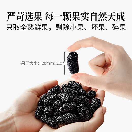 方家铺子桑葚干500g/瓶 六星桑椹干大果均≥2cm黑桑葚子泡水枸杞泡酒药材