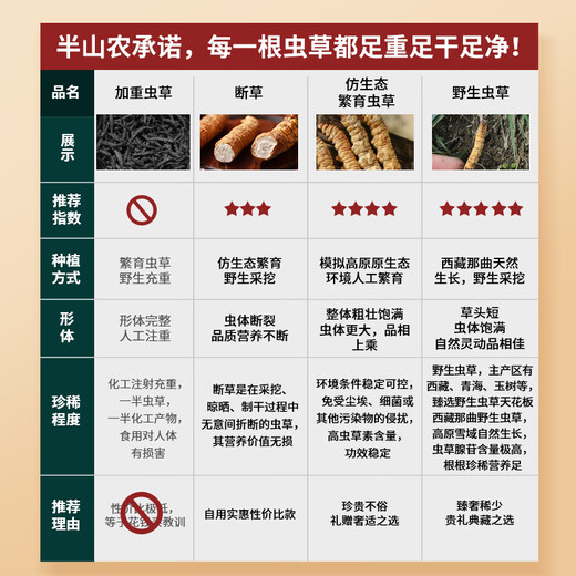 Mid-mountain farm [wild] Cordyceps sinensis 6 pieces/g 1 gram Tibet Nagqu Cordyceps sinensis to nourish nutritional products for parents and elders