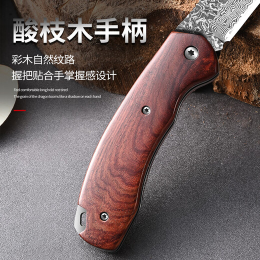 Xing blade couteau pliant en acier damas, couteau à fruits, barbecue portable d'extérieur, couteau multifonctionnel, couteau à melon et à fruits, couteau d'office Couteau à fruits pliant de Damas