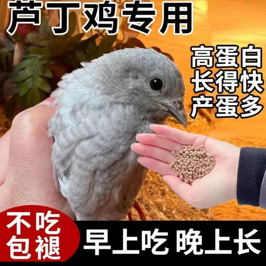 Special feed for rutin chickens, rutin chicken egg production feed, mealworm brooding feed, quail feed, high protein 10Jin Jin is equal to 0.5kg, egg production food containing mealworms, dried vegetables