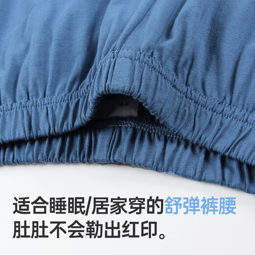 Fenten Children's Pajamas Boys 2025 Summer New Product Pure Cotton Short Sleeve Trousers Medium Large Children's Air Conditioning Clothing Set