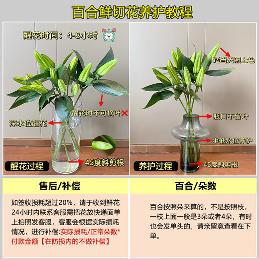 Jimmy Deer rare orange lily flowers, 10 orange lilies + get 2 free, fresh cut bouquets from Yunnan base sent directly from the source