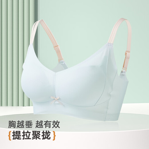 雅黛俪（ALDOLA）内衣女提拉小胸聚拢显大2025春夏新款收副乳防下垂调整型文胸罩 冰蓝 75A