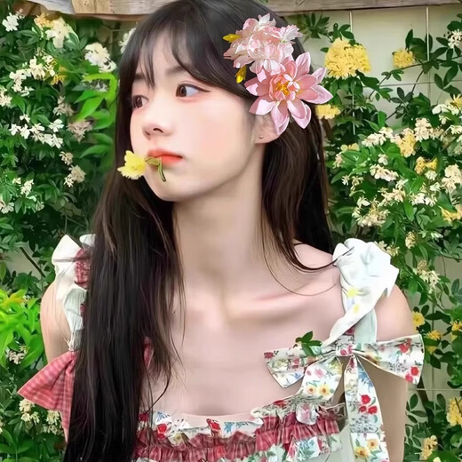 柏诗琳新中式粉色花朵发夹女复古盘发丸子头发饰古风头花发卡氛围感头饰 一对