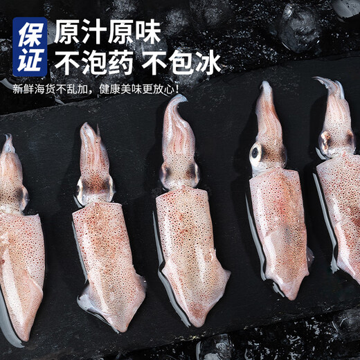 Haidingji puree ship-frozen sea rabbit net weight 900g pen tube squid seafood barbecue hot pot without water retaining agent New Year's Day