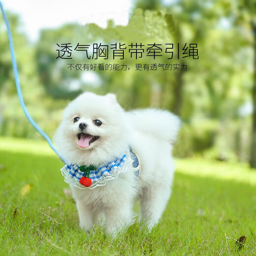 拉维佩特（LOVINGPET） 狗狗牵引绳胸背带 可调节泰迪狗绳子小型犬牵引绳幼犬猫咪牵引绳 粉色 S 3-8斤左右 胸围30-50cm
