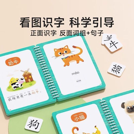 贝祖识字早教安静书幼儿宝宝启蒙粘贴书儿童魔术贴卡片玩具认字卡 全套8本 看图识字