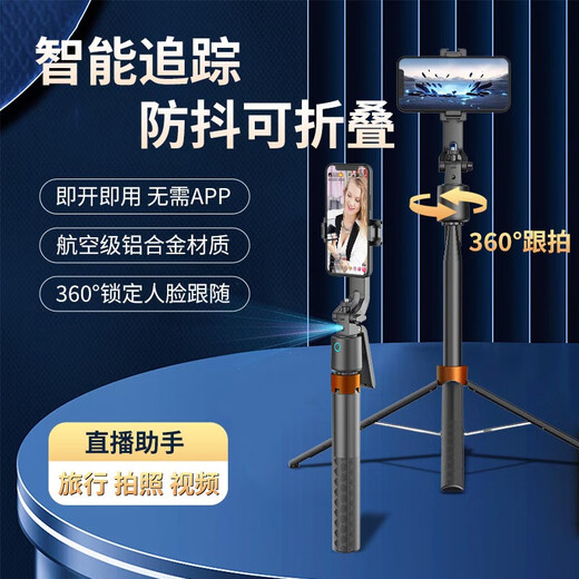 Qi Lun (Qilun) Vollautomatischer Selfie-Stick-Follow-up Gimbal 360 Grad rotierende Handheld-Mobiltelefon-Schießen gegen das Hauch von Live-Yoga AI Face Intelligent Tracking Stativ tragbares Reisen Q13 Gimbal Selfie Stick mit Dual Lights