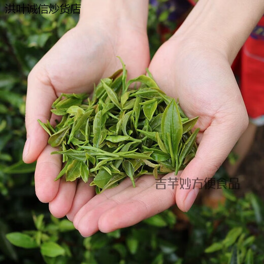 Hongxuan Manwei Shaanxi Green Tea Fried Green Tea Shangluo Specialty Shangnan Green Tea 2024 New Tea Special Spring Tea Quanming Shuangshan Brand 2 Packs 500g