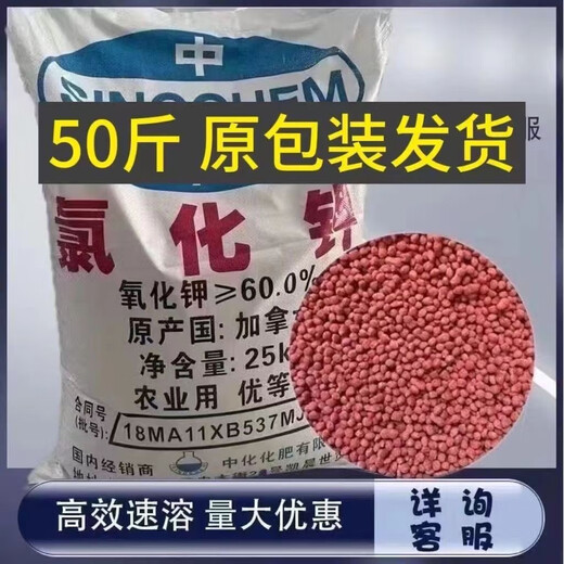 Canadian potassium chloride for fruit trees, vegetable flowers, agricultural water-soluble compound fertilizer, general fertilizer, potassium fertilizer granules, agricultural red potash fertilizer 50Jin Jin is equal to 0.5kg (bulk)