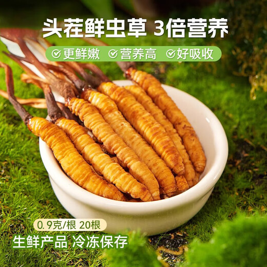 藏姑娘特级新鲜冬虫夏草藏区野外虫草礼盒装正品节日礼品送父母长辈领导 【鲜虫草0.7克左右/根】20根