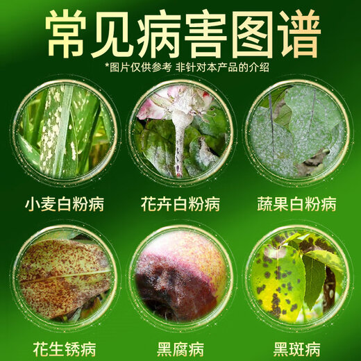 Hulian Plant Protection 15% Triadimefon File Powdery Mildew Special Medicine for Wheat Fruit Trees and Flowers Powdery Mildew Kuxiu Xining Pesticide Fungicide