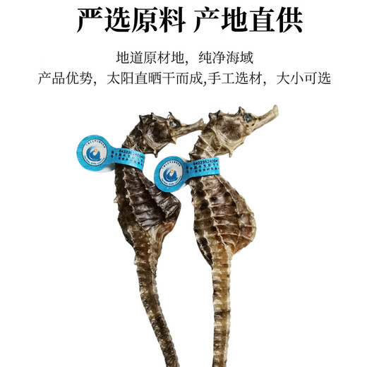 海马药材一公一母大型海马干泡酒组合六角海龙海麻雀滋补汤料礼盒 1对2克（公母2只9-11cm）