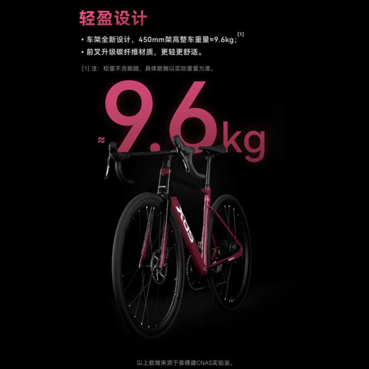 XIDESHENG READ BIKE 2025 AD350 Carbon Fasergabel -Kraftmessgerät Ultraleiche Aluminium Pneumatic Fitness Bike Taubengrau [komplettes Fahrzeugversand] 480 mm