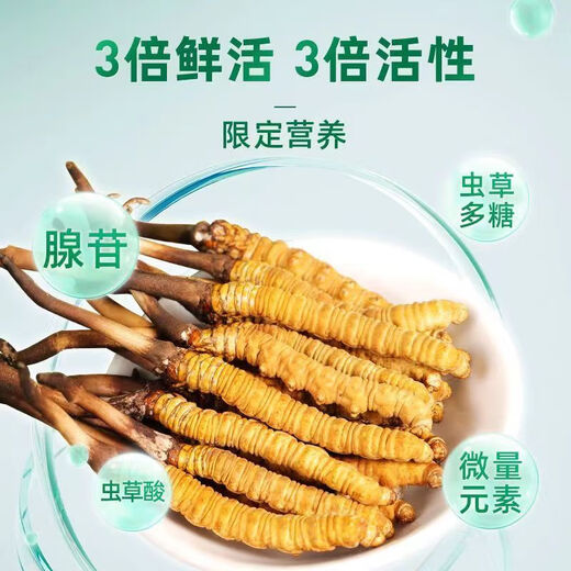 2025 Cordyceps frais Sinensis Time supérieur sélectionné Cordyceps frais SF Express Chaîne froide Origine droite CHEAUX GRANDE GROUPE FRÈS. Chaque cordyceps frais du Tibet a 0,6 gramme de 30 morceaux de 30 pièces