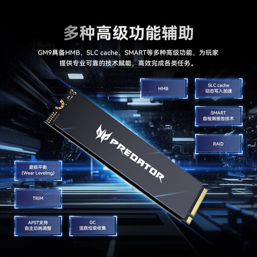 宏碁掠夺者（PREDATOR）4TB SSD固态硬盘 M.2接口(NVMe协议) GM9系列 NVMe PCIe 5.0读速14500MB/s AI电脑存储配件