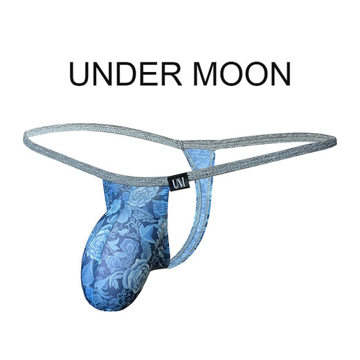 Aoineas farblose sexy gedruckte Männer Tanga-Hosen dünne Taillenbeutel Bulge Bulge Bulge Pure T Hosen Low Taille Jungen Unterwäsche Himmelblau XL2 Fuß 4-2 Fuß 6135jin [Jin entspricht 0,5 kg] -155jin [Jin gleich 0,5 kg] Alle Größe alle Größe