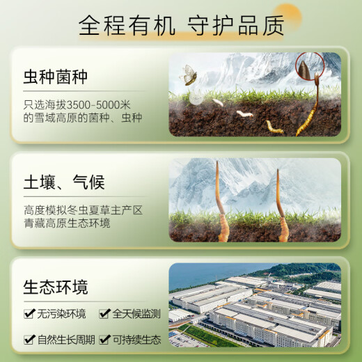 东阳光有机冬虫夏草3-4根/克  新干虫草礼盒 补品送父母长辈端午节礼物 11克【送礼甄选】