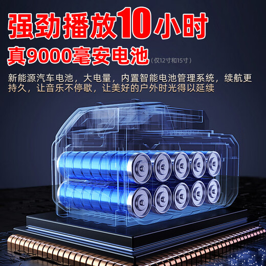 NINTAUS Square Dance Audio Outdoor K Song Dance Performance Trolley Mobile Bluetooth Speaker Store Special Large Volume Dual 12-inch 20 Speakers + Dual Microphones + U Disk