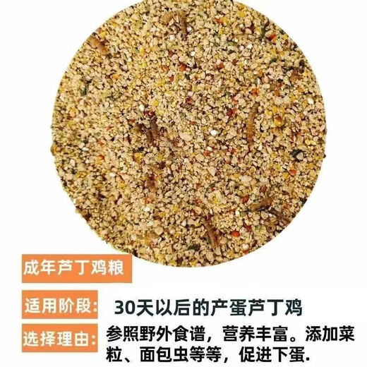Special feed for rutin chickens, rutin chicken egg production feed, mealworm brooding feed, quail feed, high protein 10Jin Jin is equal to 0.5kg, egg production food containing mealworms, dried vegetables