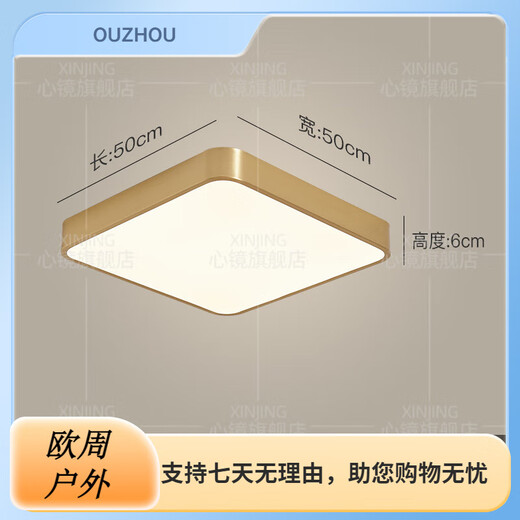心镜全铜户外吸顶灯别墅大门口超薄门前灯室外过道阳台灯防蚊虫庭 X3893-800/方形