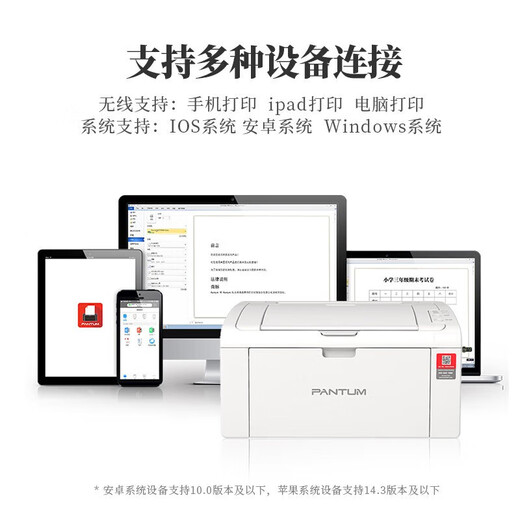 Pantum P2206W P2210W BP2303W black and white laser a4 printer home office small wired wireless connection student information homework mobile phone direct connection to mobile wifi popular recommendation P2210W (20 pages/minute high-speed printing) official standard