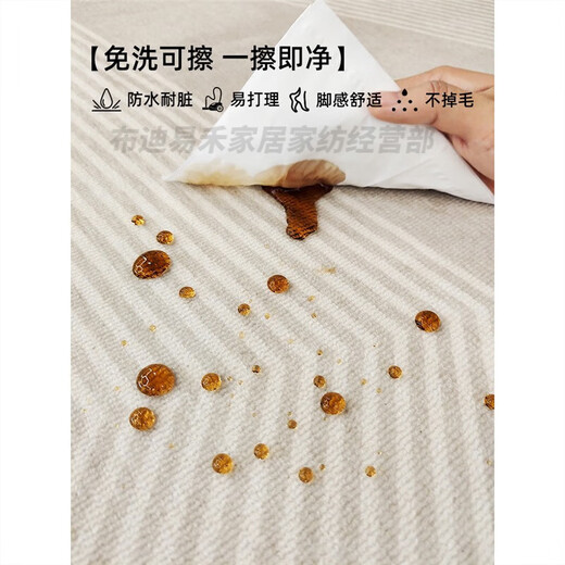 地毯客厅2025新款轻奢高级感沙发地垫免洗可擦家用防水卧室厚天津 清蔷-13566 240cm*360cm 【定制 】