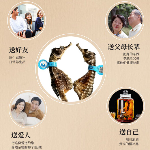 海马药材一公一母大型海马干泡酒组合六角海龙海麻雀滋补汤料礼盒 1对2克（公母2只9-11cm）