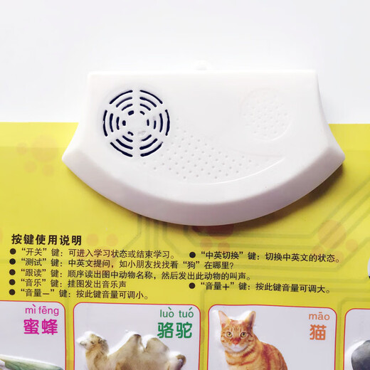 京普顿有声挂图儿童早教启蒙幼儿点读发声玩具宝宝看图识字学汉字认字 数学运算