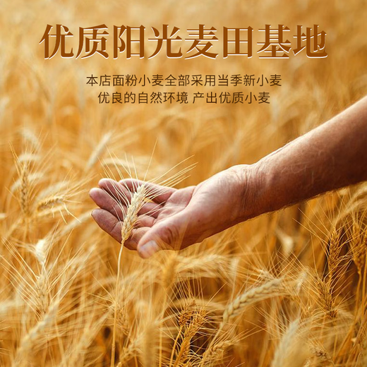 红司令德望面粉gbt1355-2021新国标无面粉山东淄博原味小麦粉 麦香粉/中筋70粉 10kg*1袋