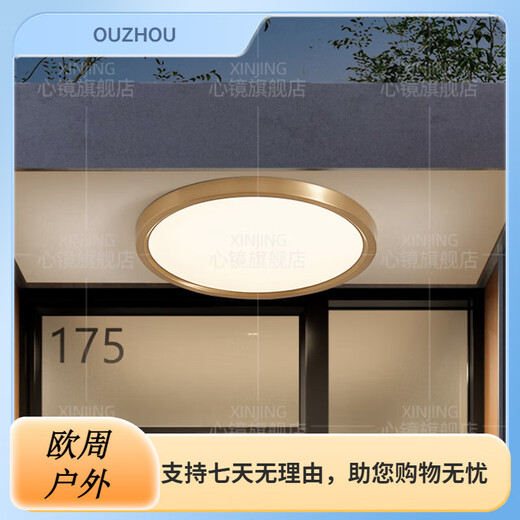 心镜全铜户外吸顶灯别墅大门口超薄门前灯室外过道阳台灯防蚊虫庭 X3893-800/方形