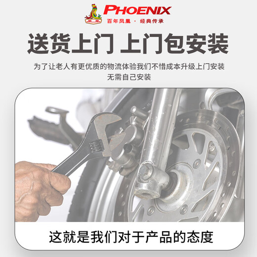 Phoenix Beetle Electric Tricycle Home Small Elderly Walking Electric Vehicle Electric Three-Wheeled Elderly Leisure Battery Vehicle 600W丨48V12A Lead Acid + Battery Life About 25 Kilometers