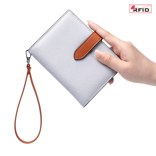 Vanlemn Danish Danish Antift Brushing Passport Sac Étude à l'étranger