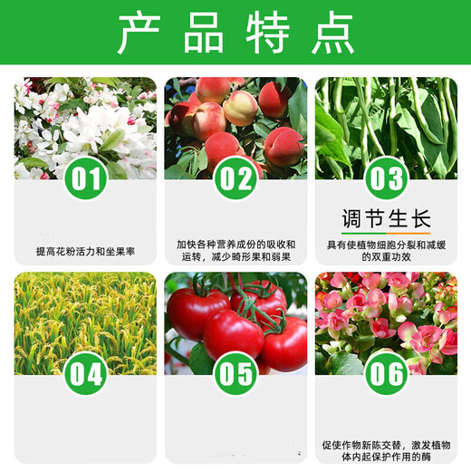 Brassinolide high fast-acting brassinolide rice plant growth regulator auxin water-soluble foliar fertilizer 1000g