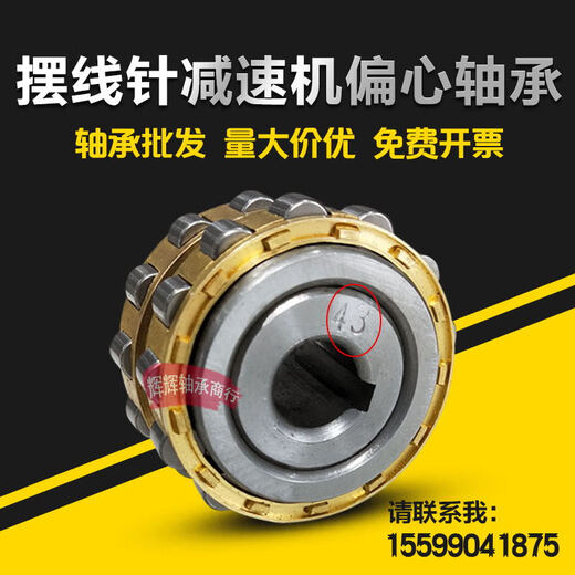 ZWZ eccentric bearing RN205RN206RN307RN309204312219222 6224