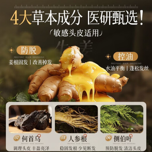 Wits Anti-Deletion Shampoo Ginger Hair Restraining Orchidontica Leaf Oil Control Anti-dandruff Shampoo Detoxification Men and Women's Golden List No. 1