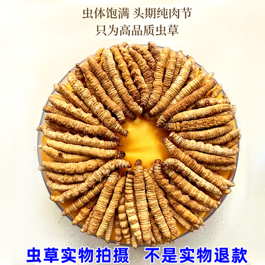 万草康仁冬虫夏草断草藏区断虫草断草中老年营养品整肉节虫草酒保健品 精选纯肉体【 5克体验装】