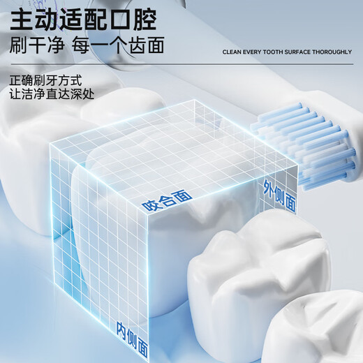 Sanrio Electric Toothbrush Ultrasonic Vibration Hello Kitty Waterproof USB Rechargeable Multi-Function Soft-Bristled Toothbrush Christmas Gift for Girlfriends Birthday Gift Adult Couple Model Pacha Dog Cartoon Color Box Intelligent Timing + Free 4 Brush Heads